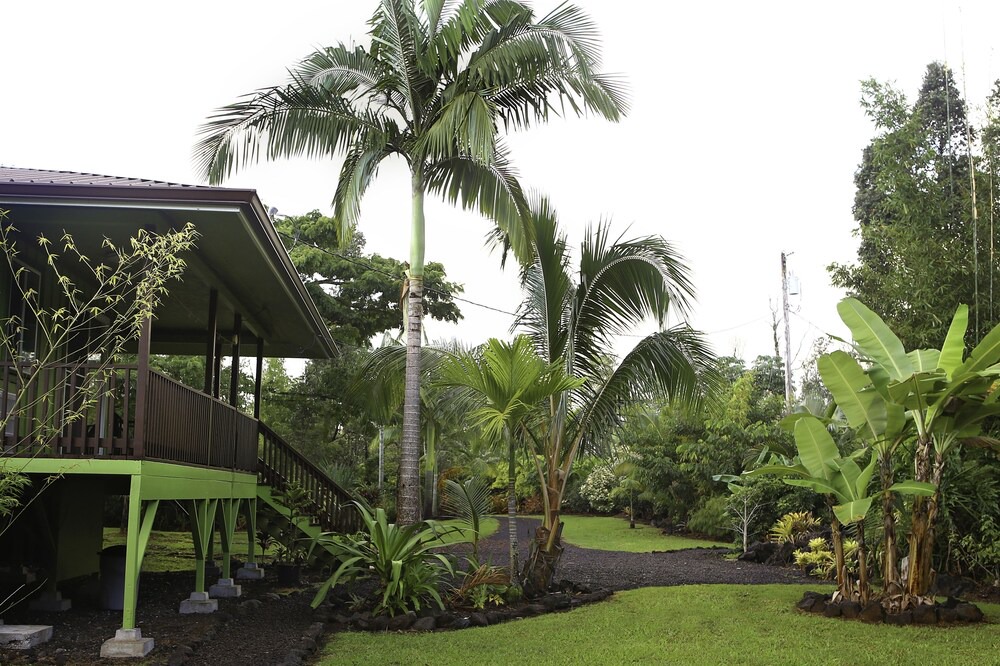 Photo of Outdoor in Keaau