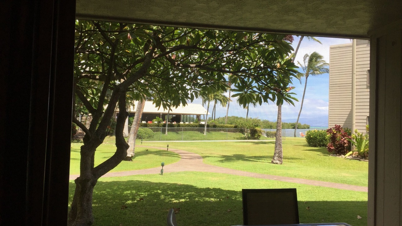 Photo of Outdoor in Ualapue
