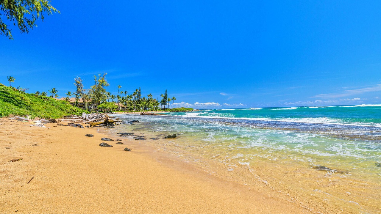 Photo of Others in Wailua