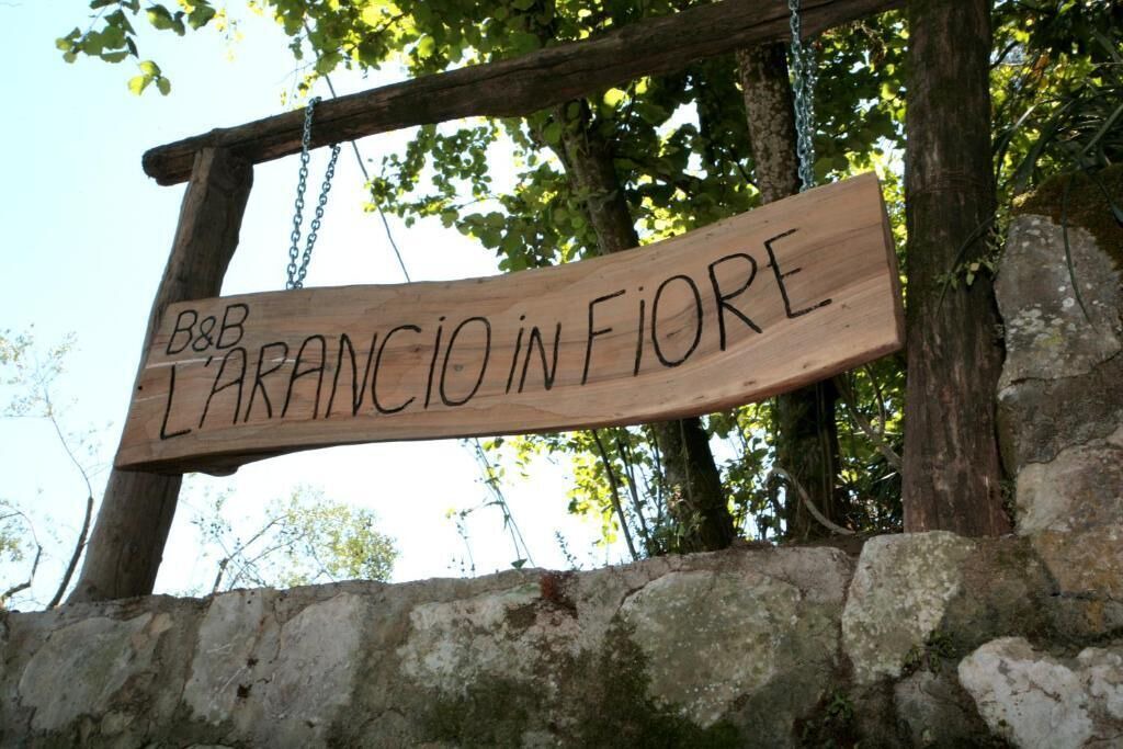 Photo of Outdoor in Sant'Agnello