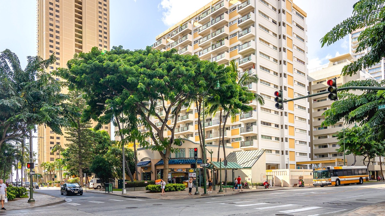 Photo of Outdoor in Waikiki