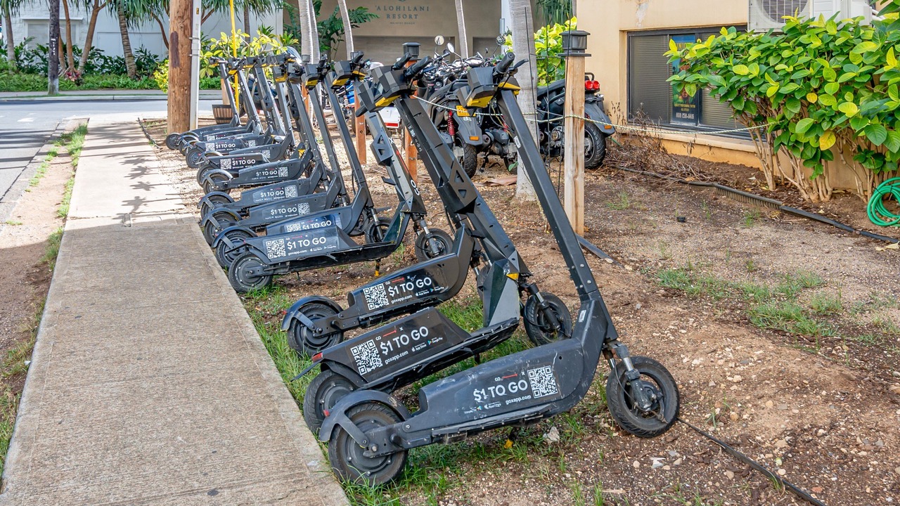 Photo of Outdoor in Waikiki
