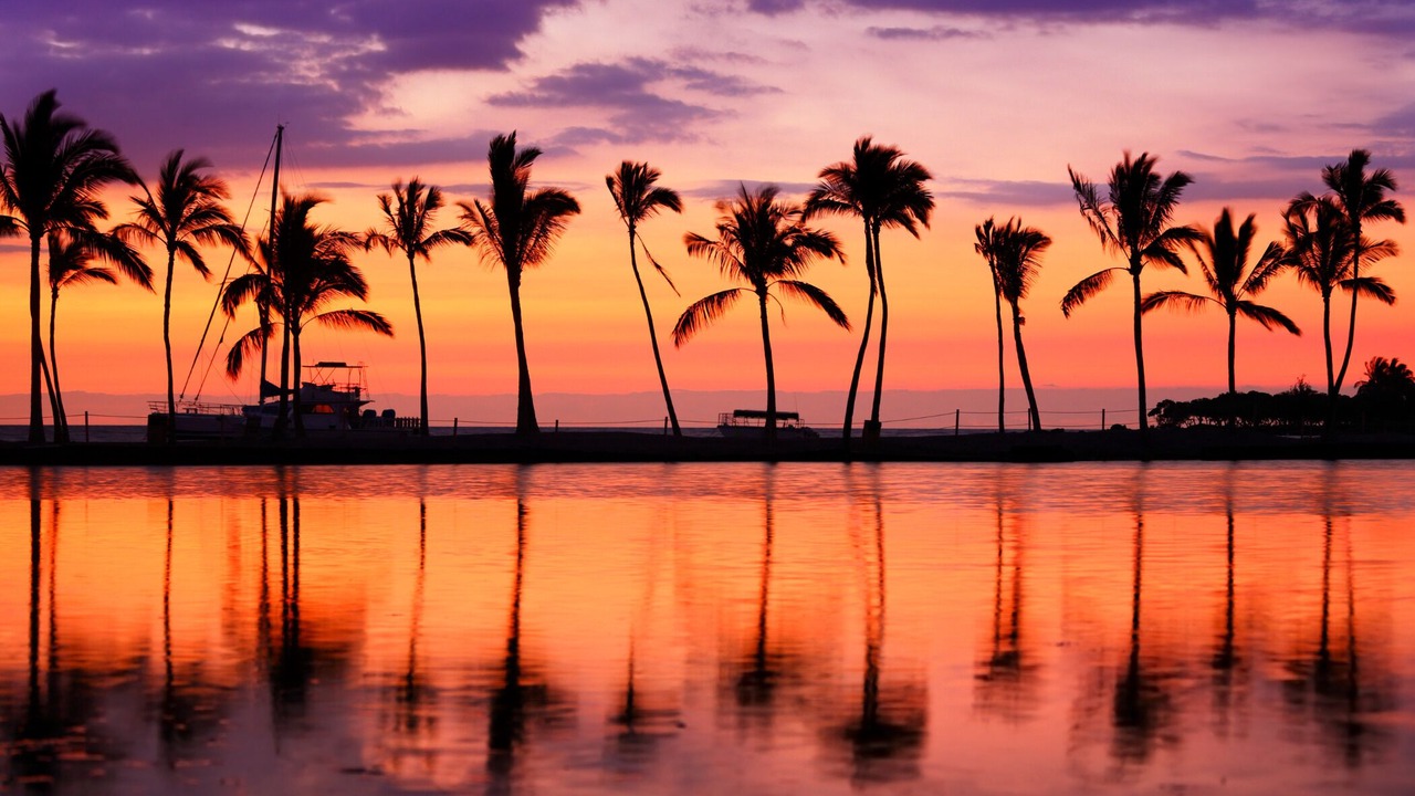 Photo of Others in Waikiki