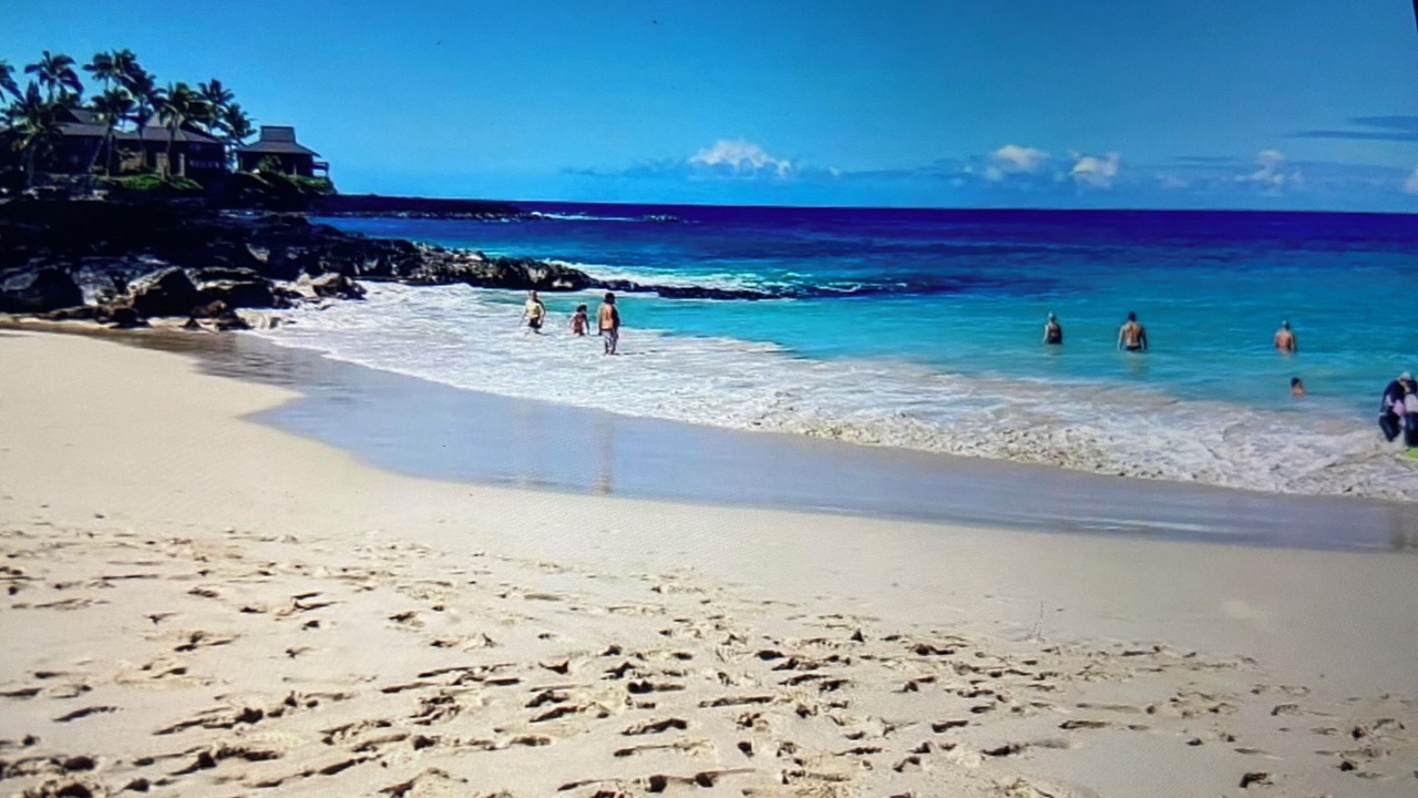 Photo of Others in Kahaluu Bay