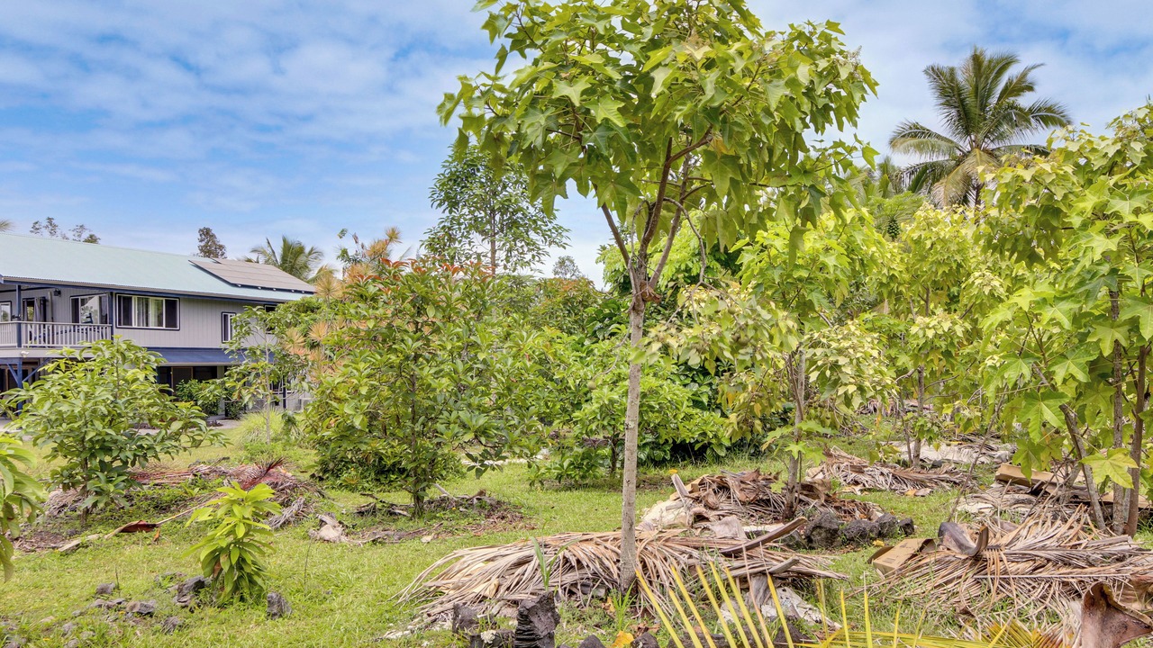 Photo of Outdoor in Keaau