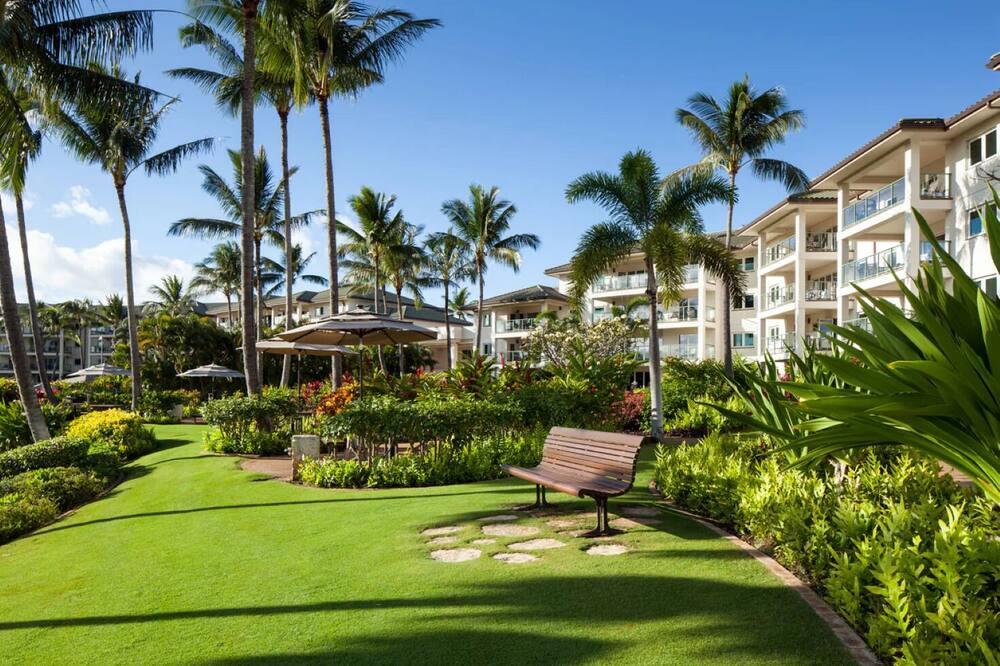 Photo of Outdoor in Lihue