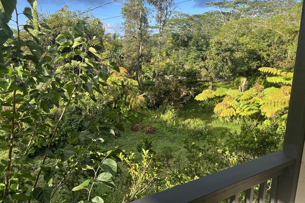 Photo of Outdoor in Keaau