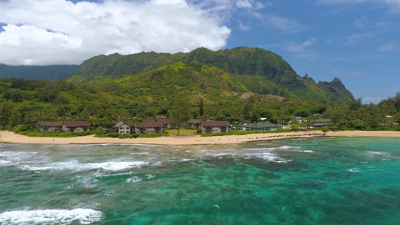 Photo of Outdoor in Wainiha