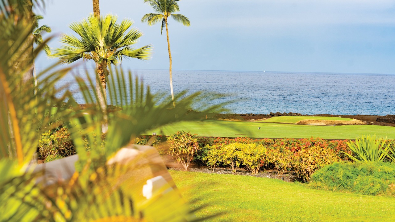Photo of Outdoor in Kahaluu Bay