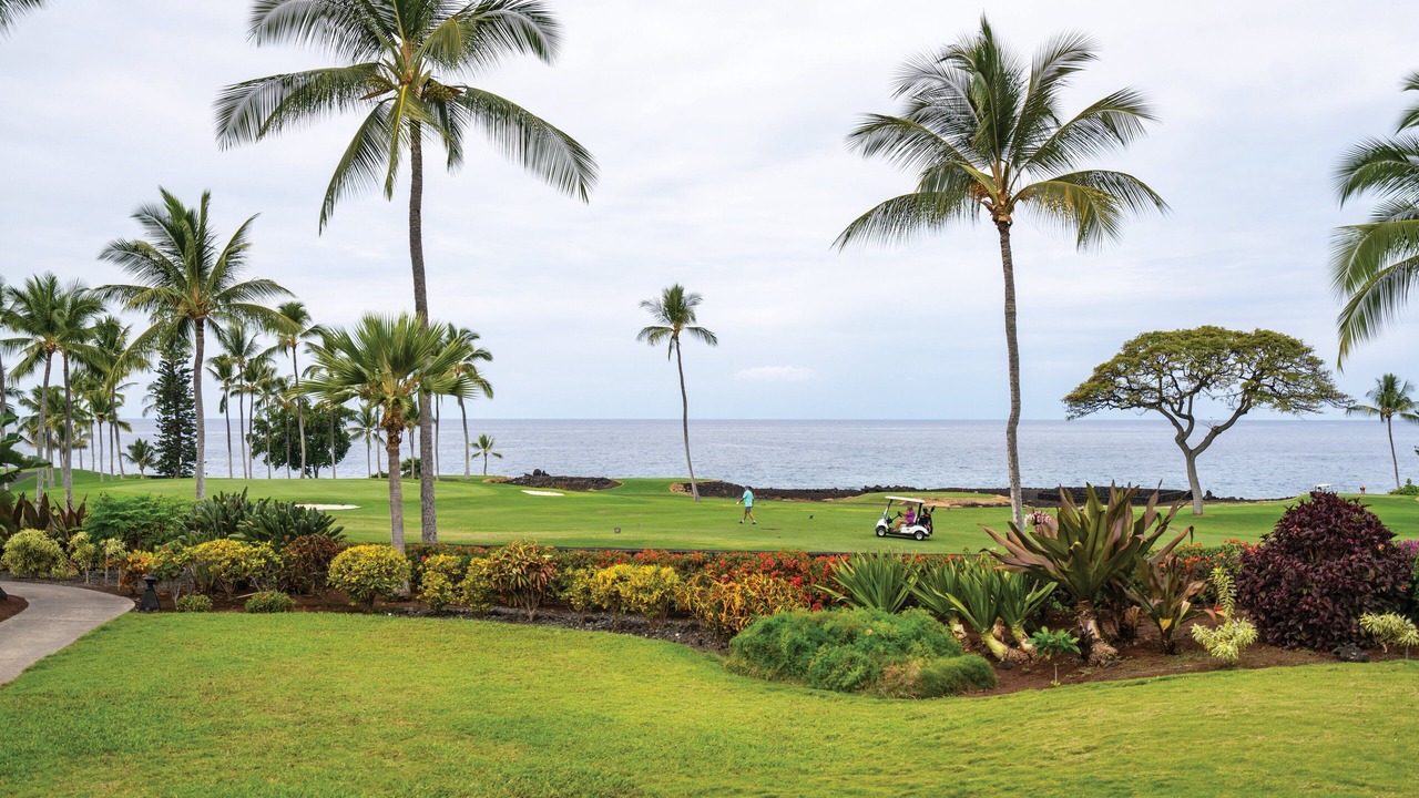 Photo of Others in Kahaluu Bay