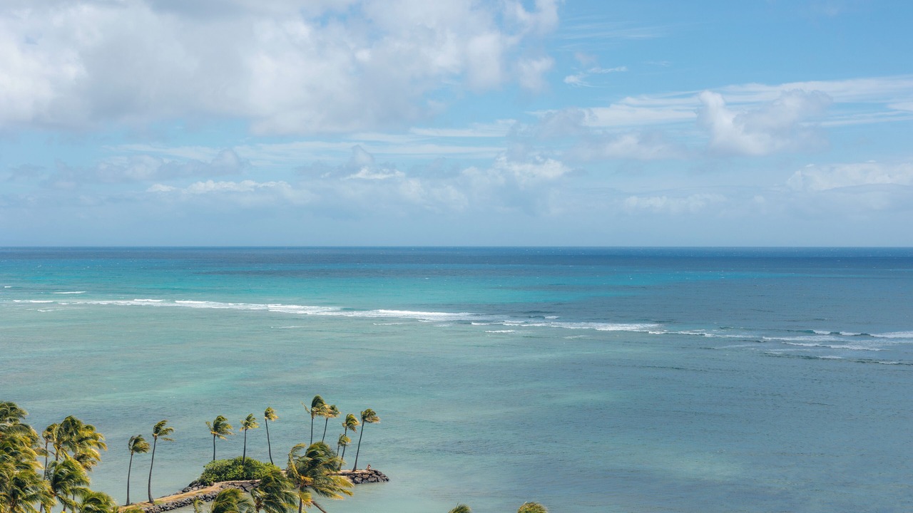 Photo of Others in Waialae Iki