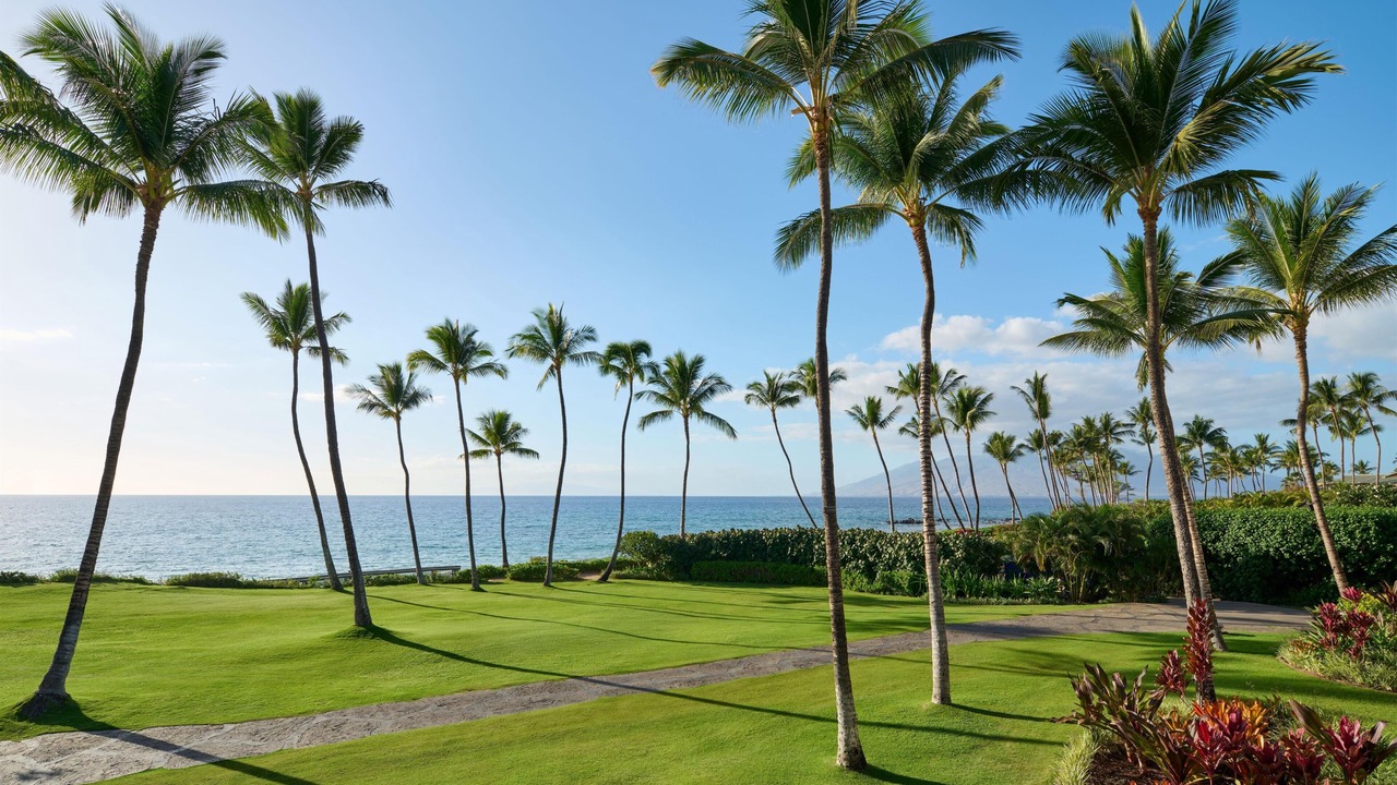 Photo of Others in Wailea