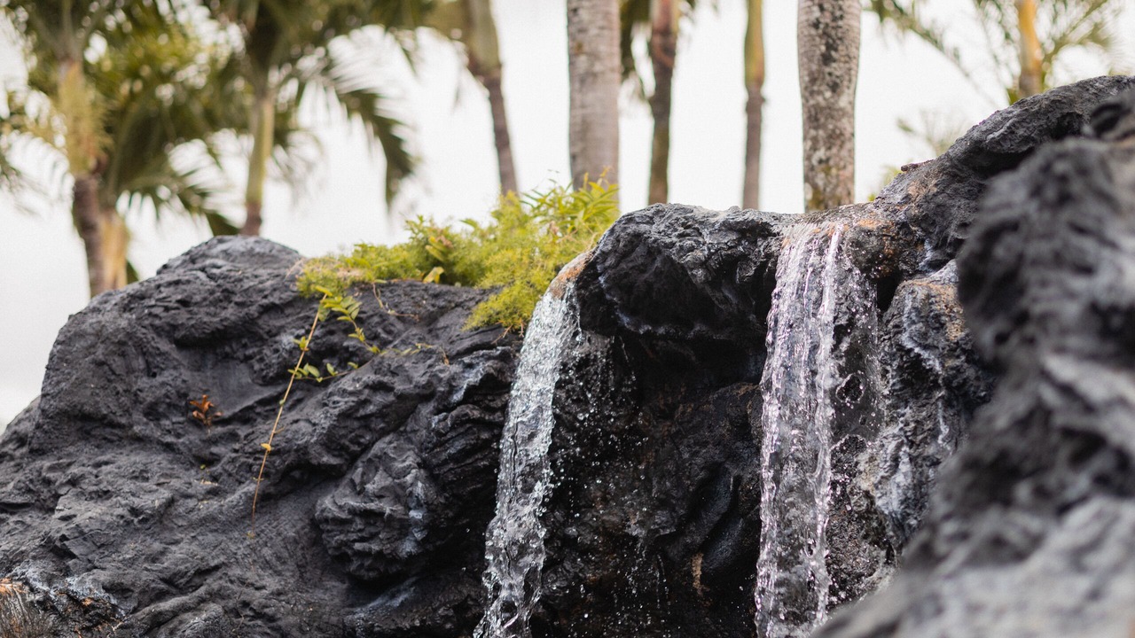 Photo of Outdoor in Princeville