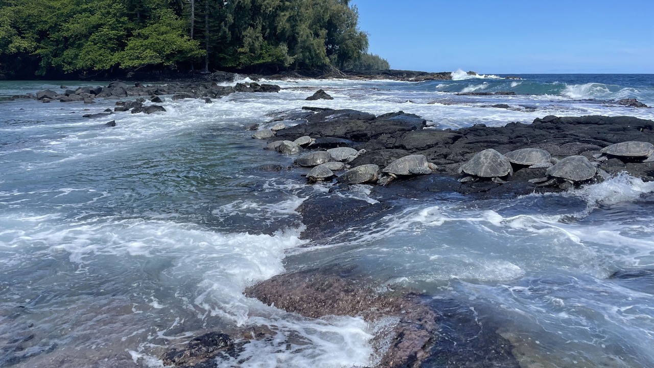 Photo of Others in Keaau