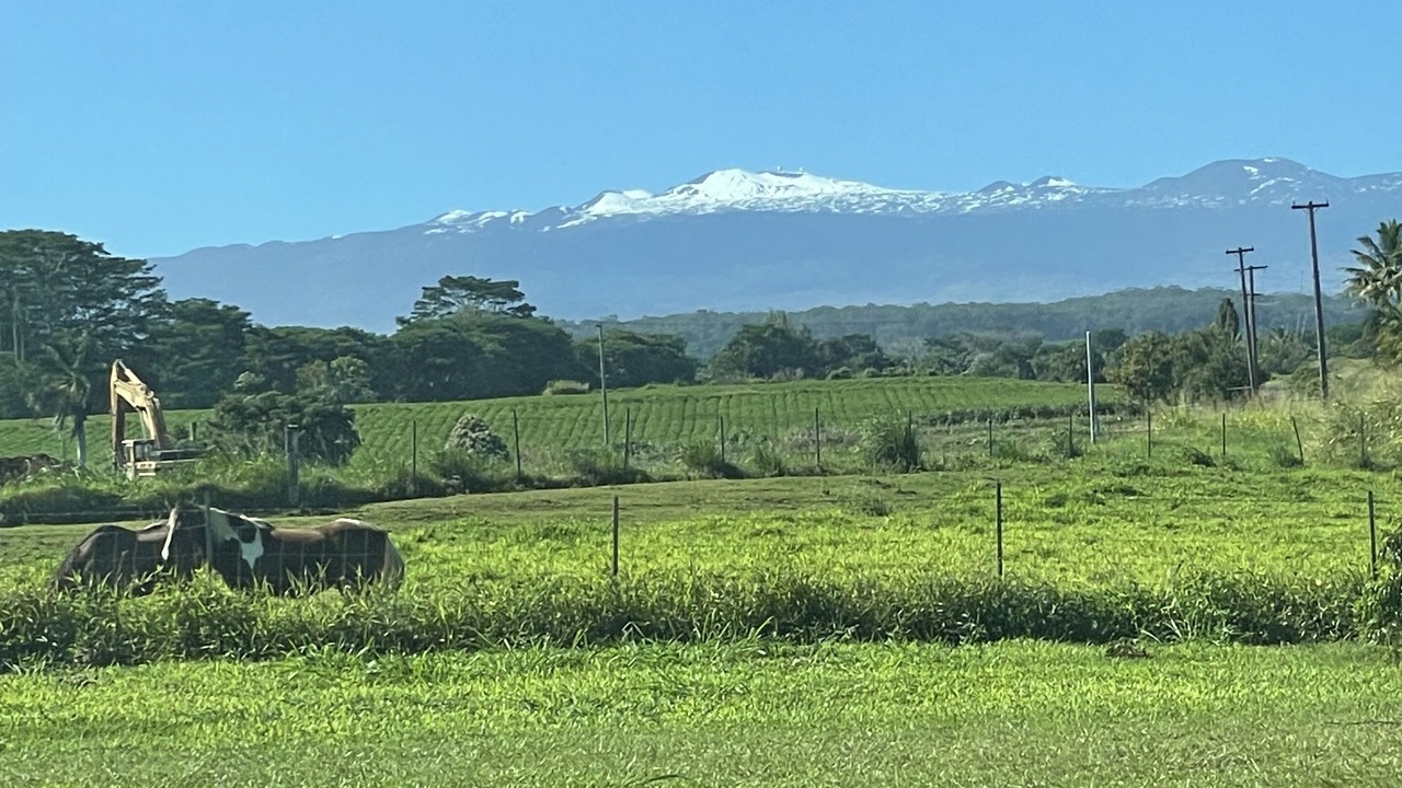 Photo of Outdoor in Keaau