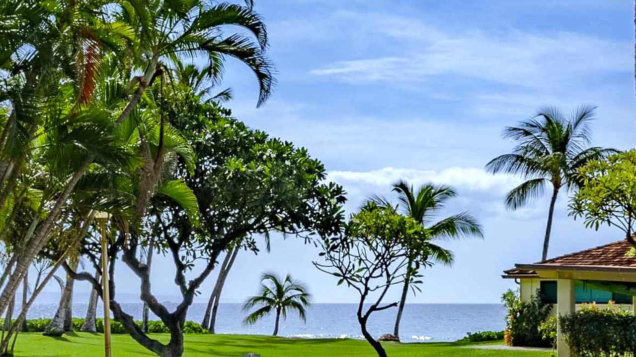 Photo of Outdoor in Downtown Lahaina
