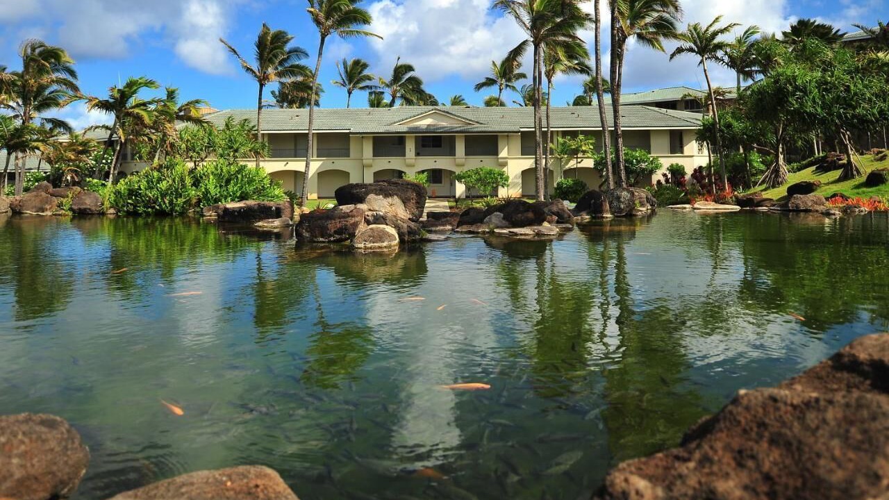 Photo of Outdoor in Poipu