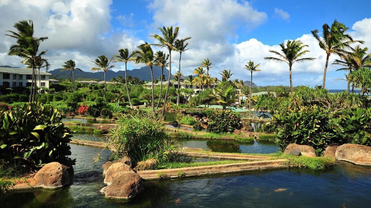 Photo of Outdoor in Poipu