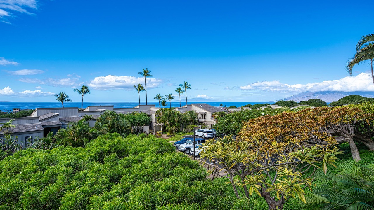 Photo of Outdoor in Wailea