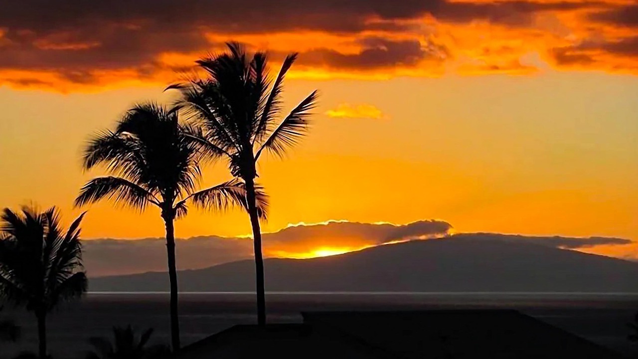 Photo of Others in Wailea