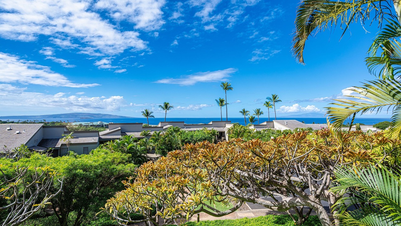 Photo of Outdoor in Wailea