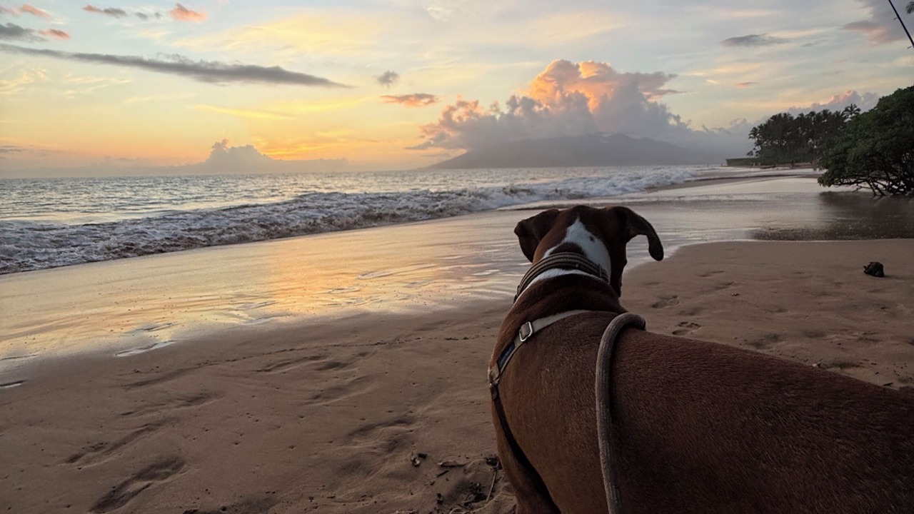 Photo of Others in Kahului