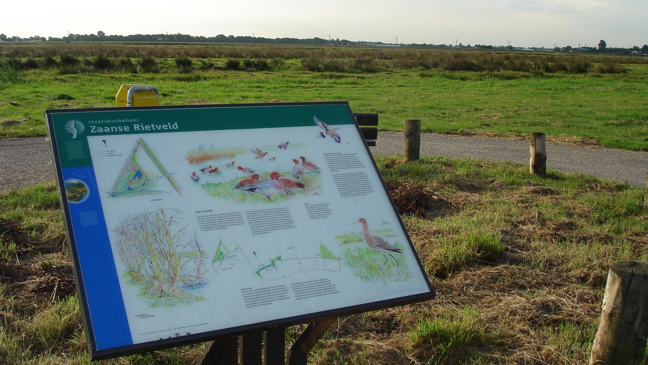 Photo of Outdoor in Zevenhuizen-Moerkapelle