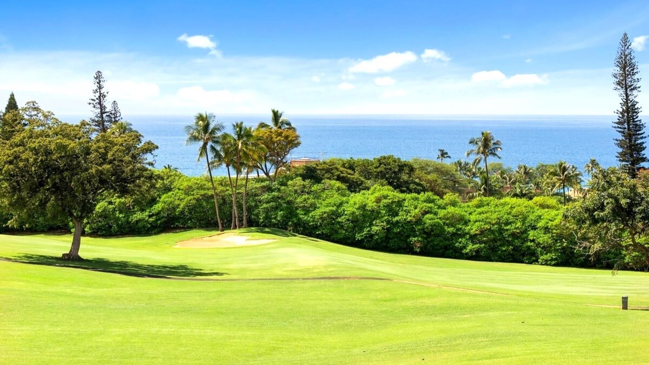 Photo of Others in Kaanapali