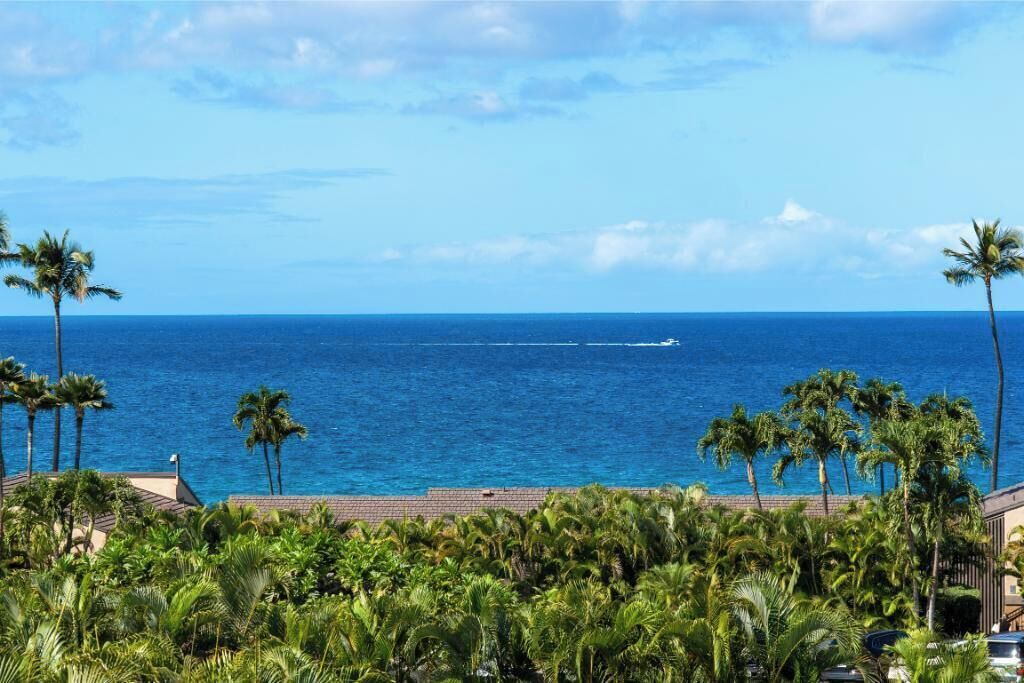Photo of Others in Wailea