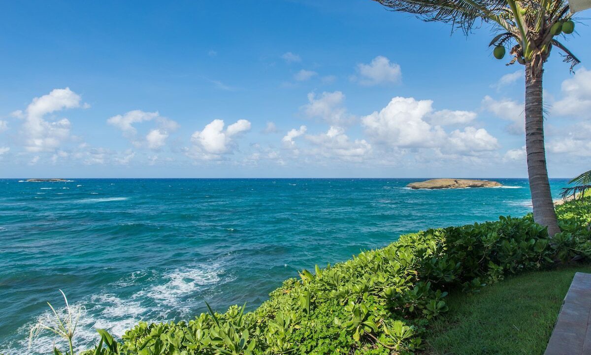 Photo of Others in Laie