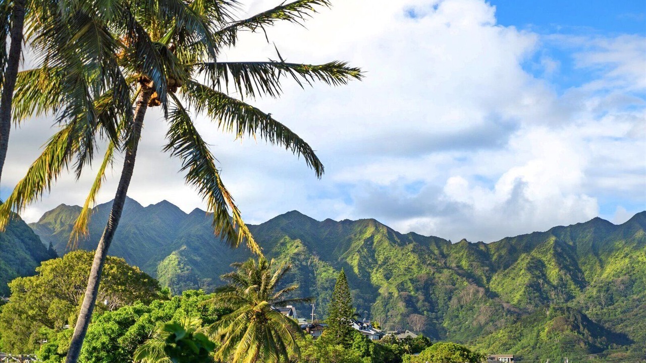 Photo of Outdoor in Manoa