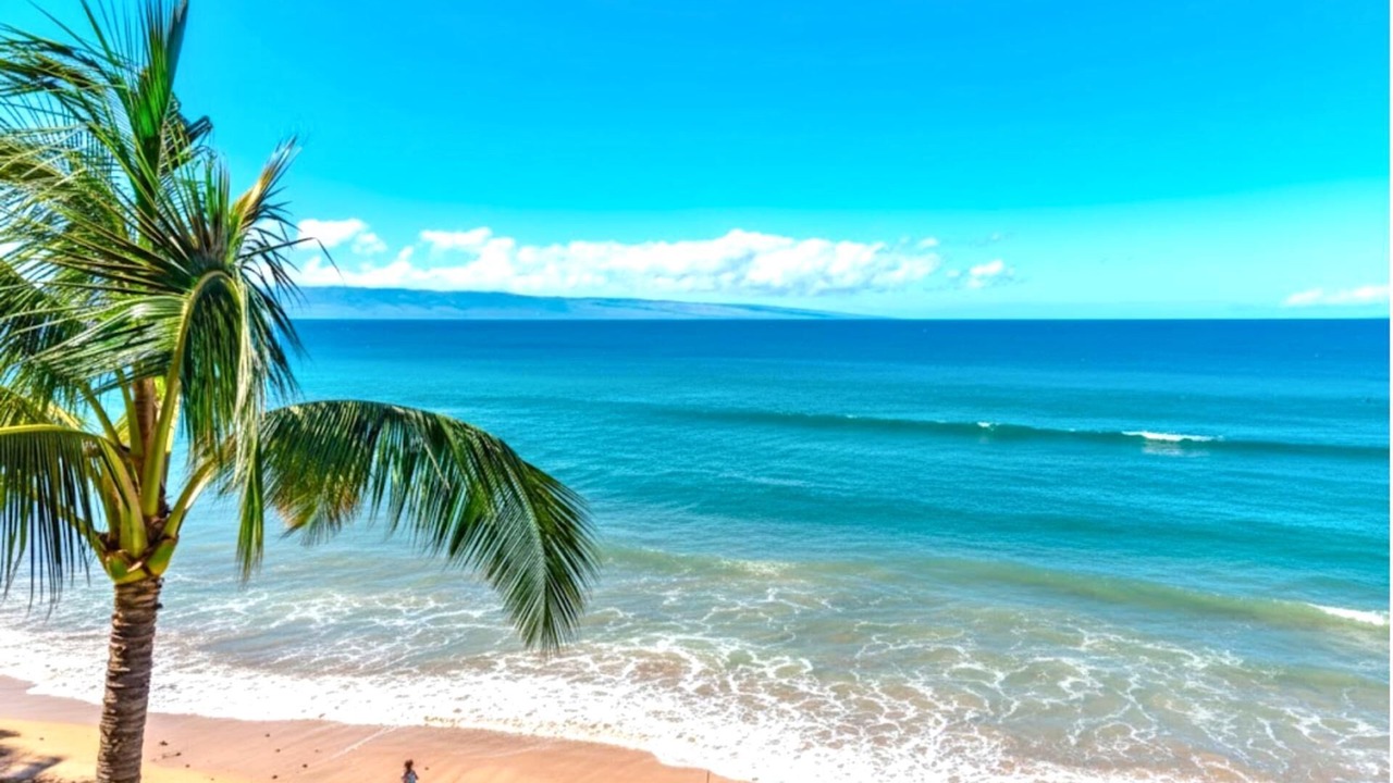Photo of Others in Napili