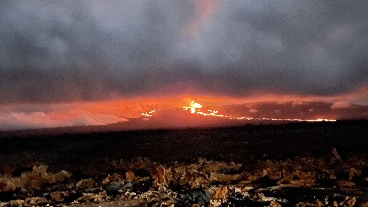Photo of Outdoor in Keaau