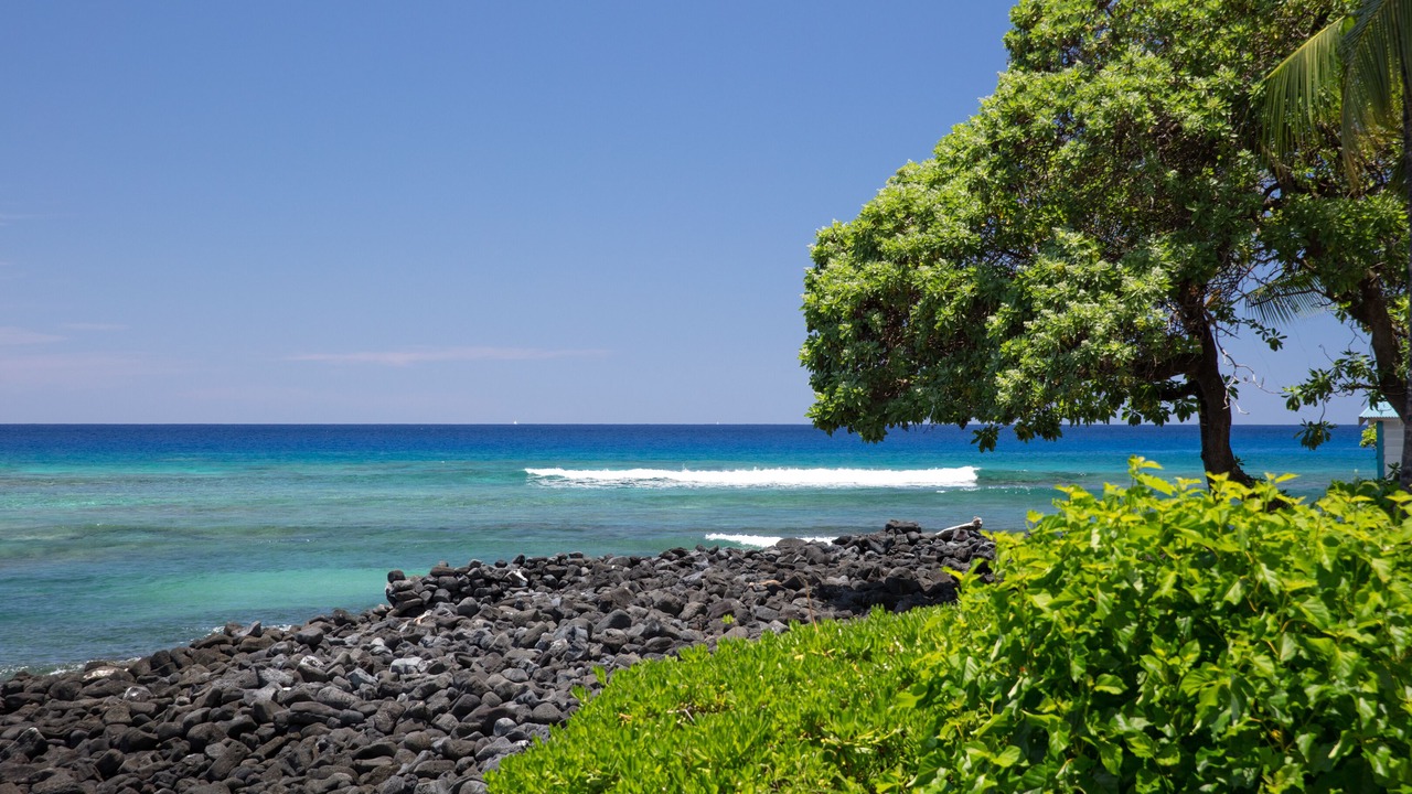 Photo of Others in Kahaluu Bay