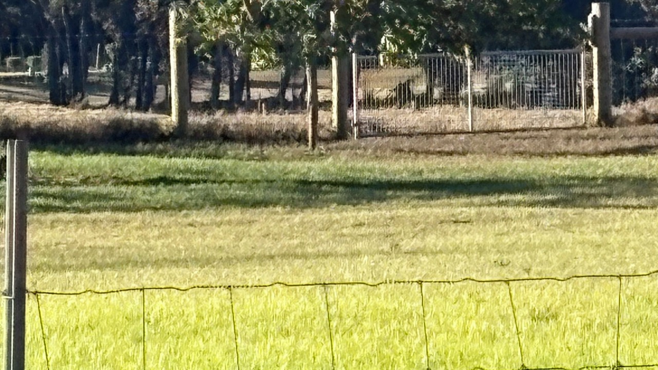 Photo of Others in Waimea