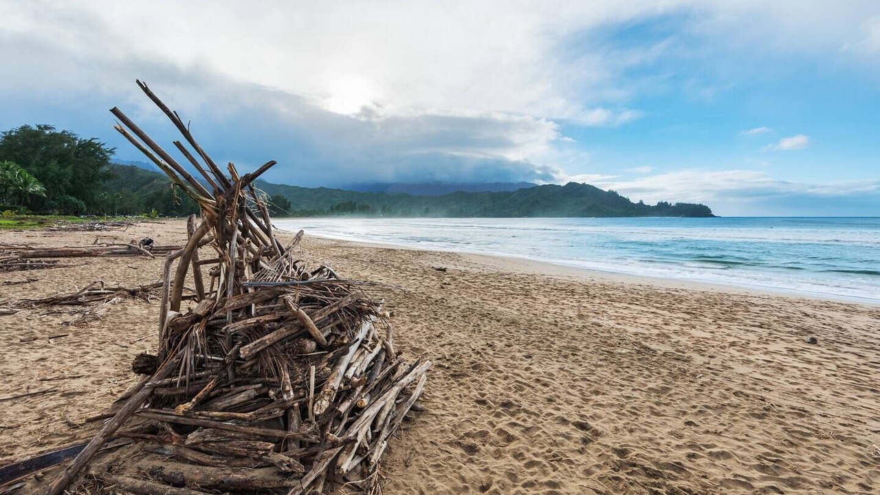 Photo of Others in Hanalei