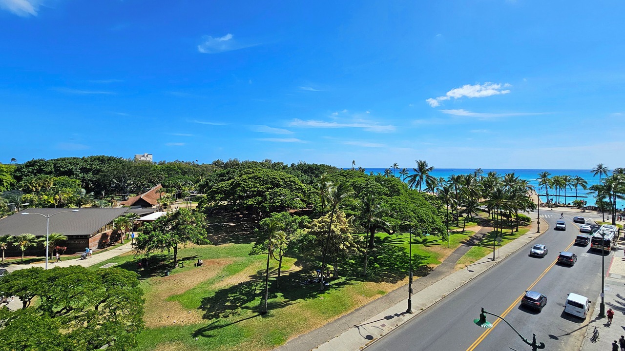 Photo of Others in Waikiki