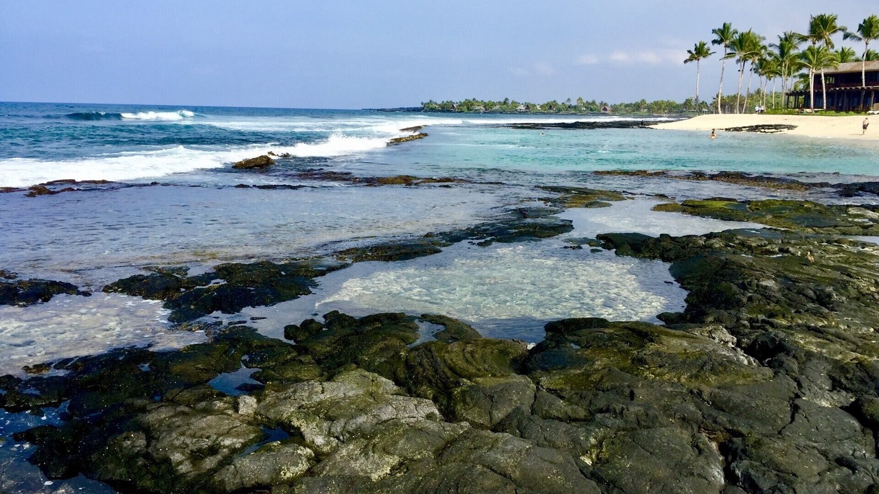 Photo of Others in Waikoloa Village