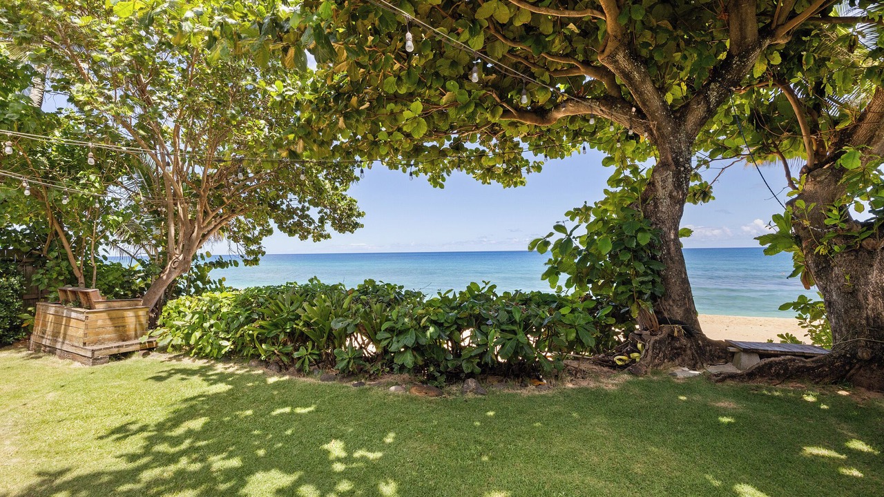 Photo of Outdoor in Laie