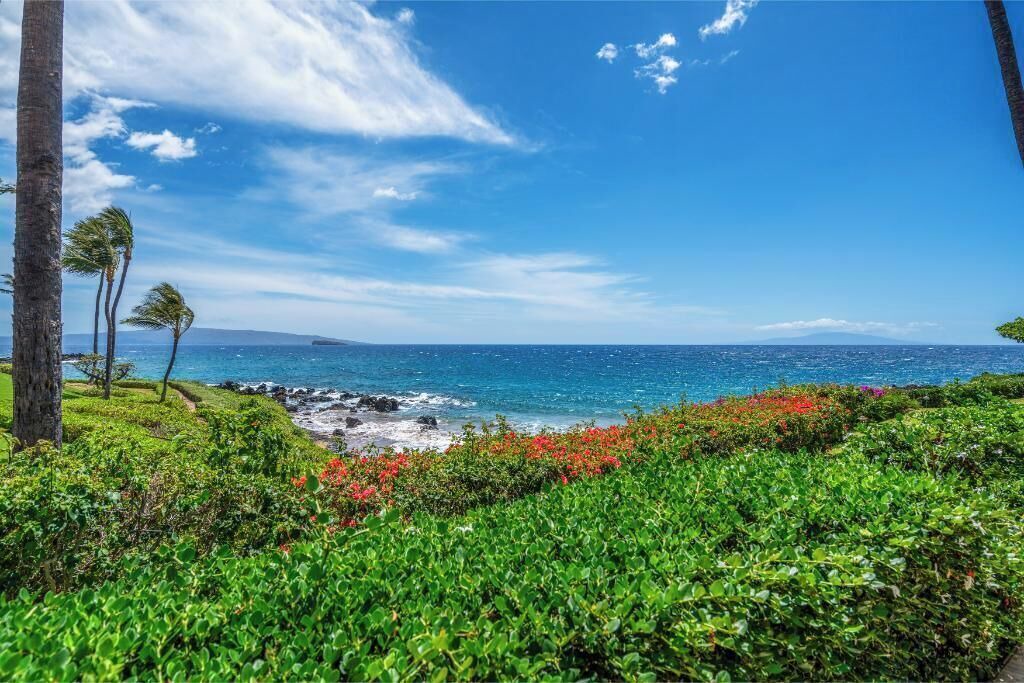 Photo of Others in Wailea