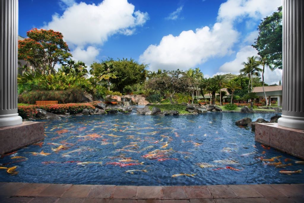 Photo of Outdoor in Lihue