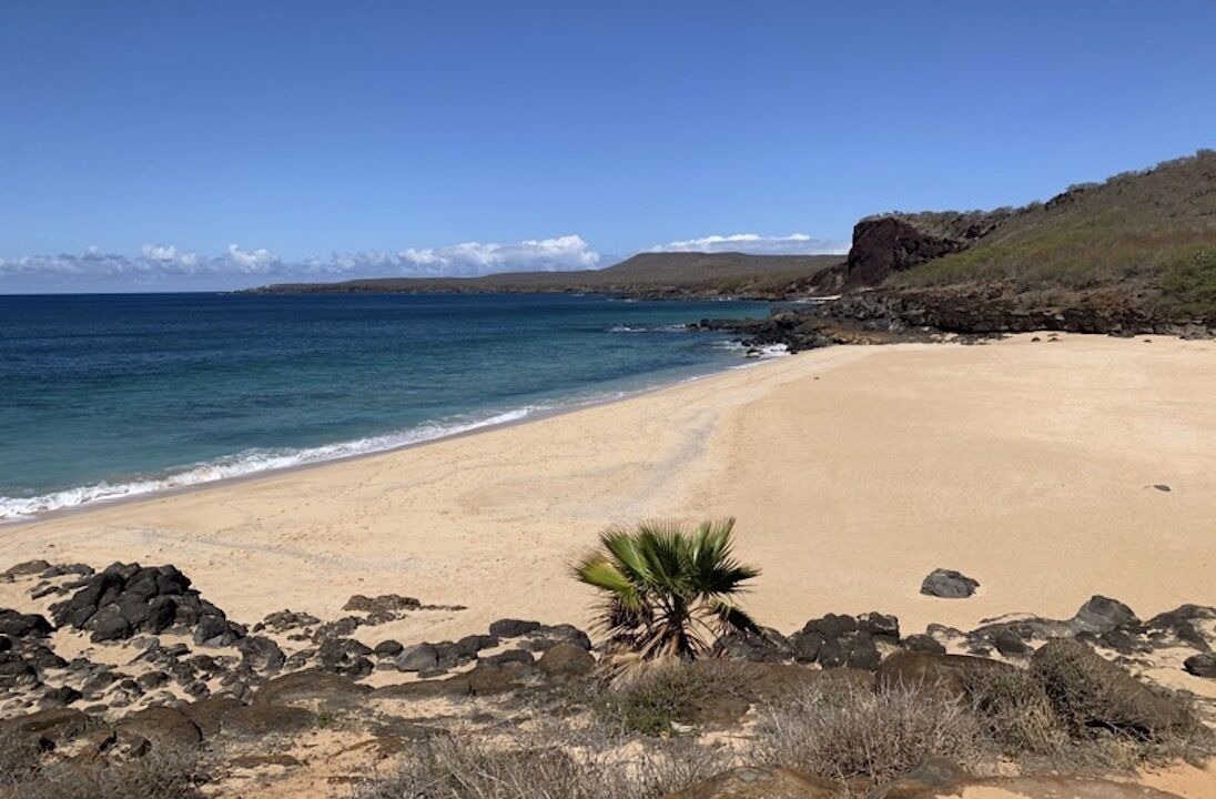 Photo of Others in Maunaloa