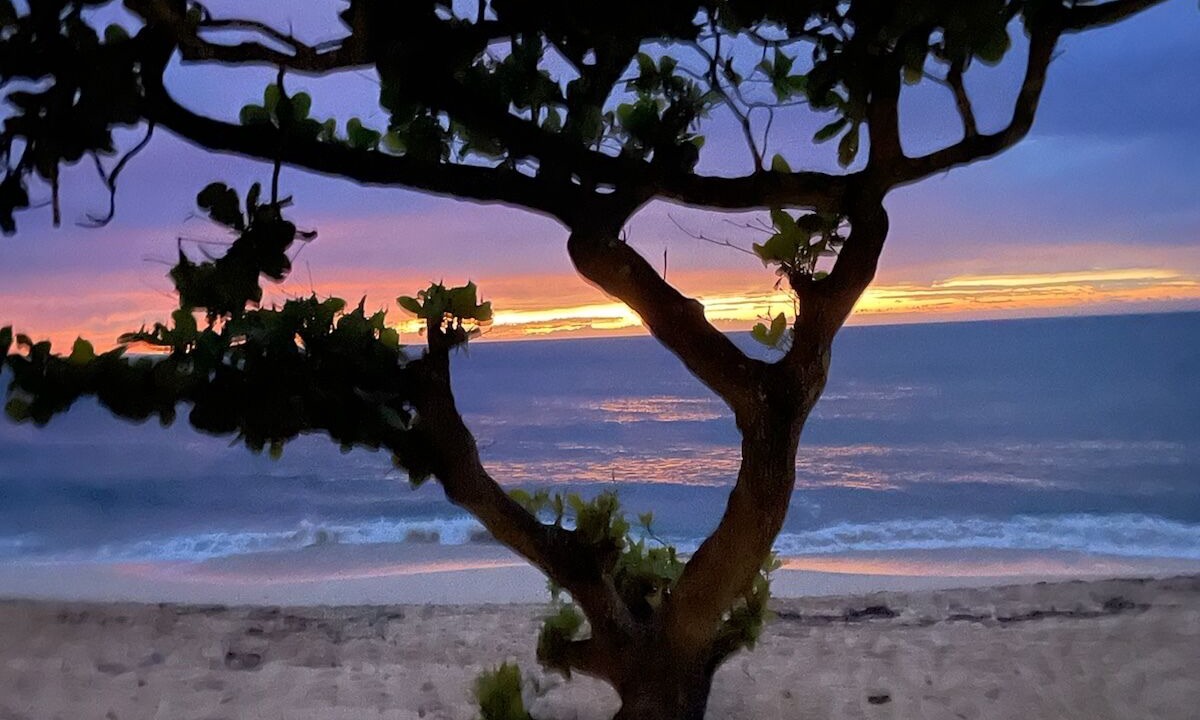 Photo of Others in Pupukea