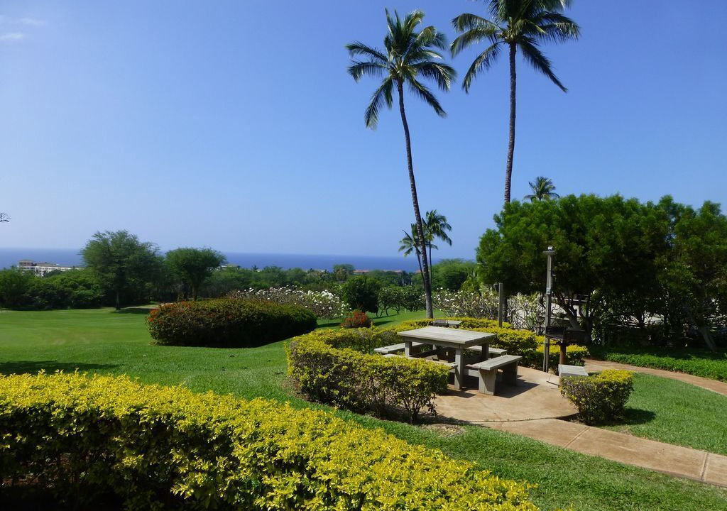Photo of Others in Wailea