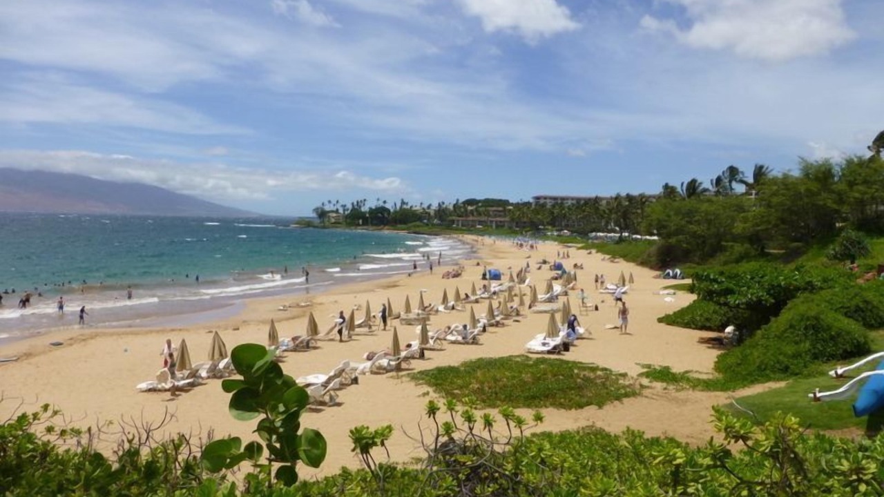 Photo of Others in Wailea