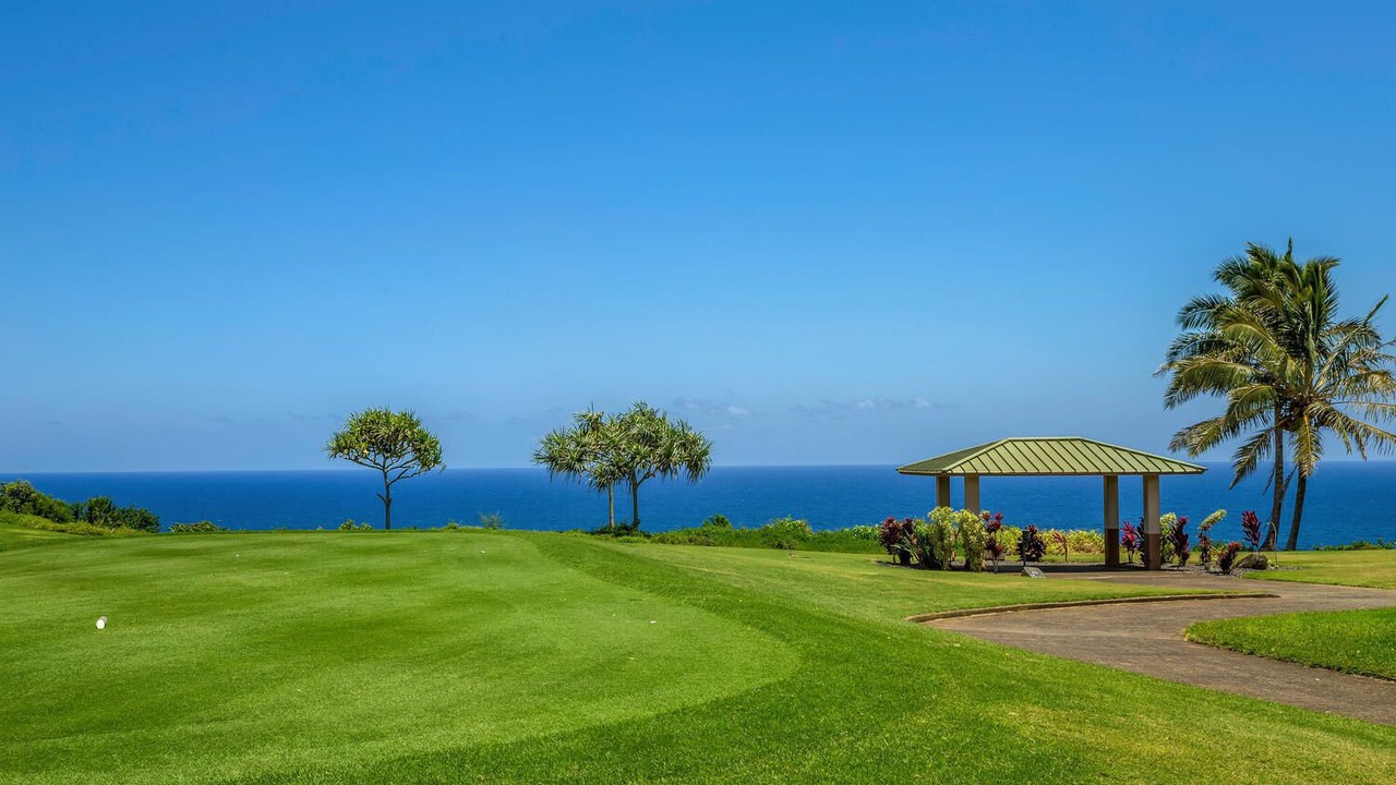 Photo of Others in Princeville