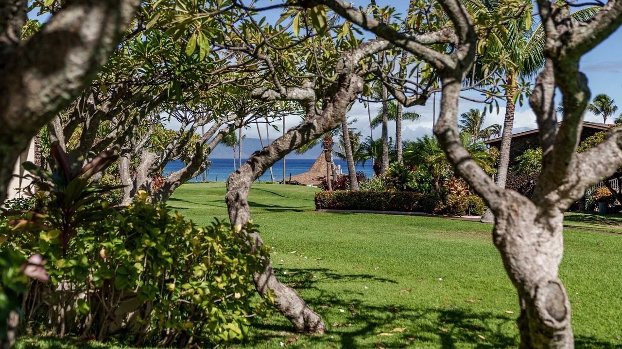 Photo of Outdoor in Napili