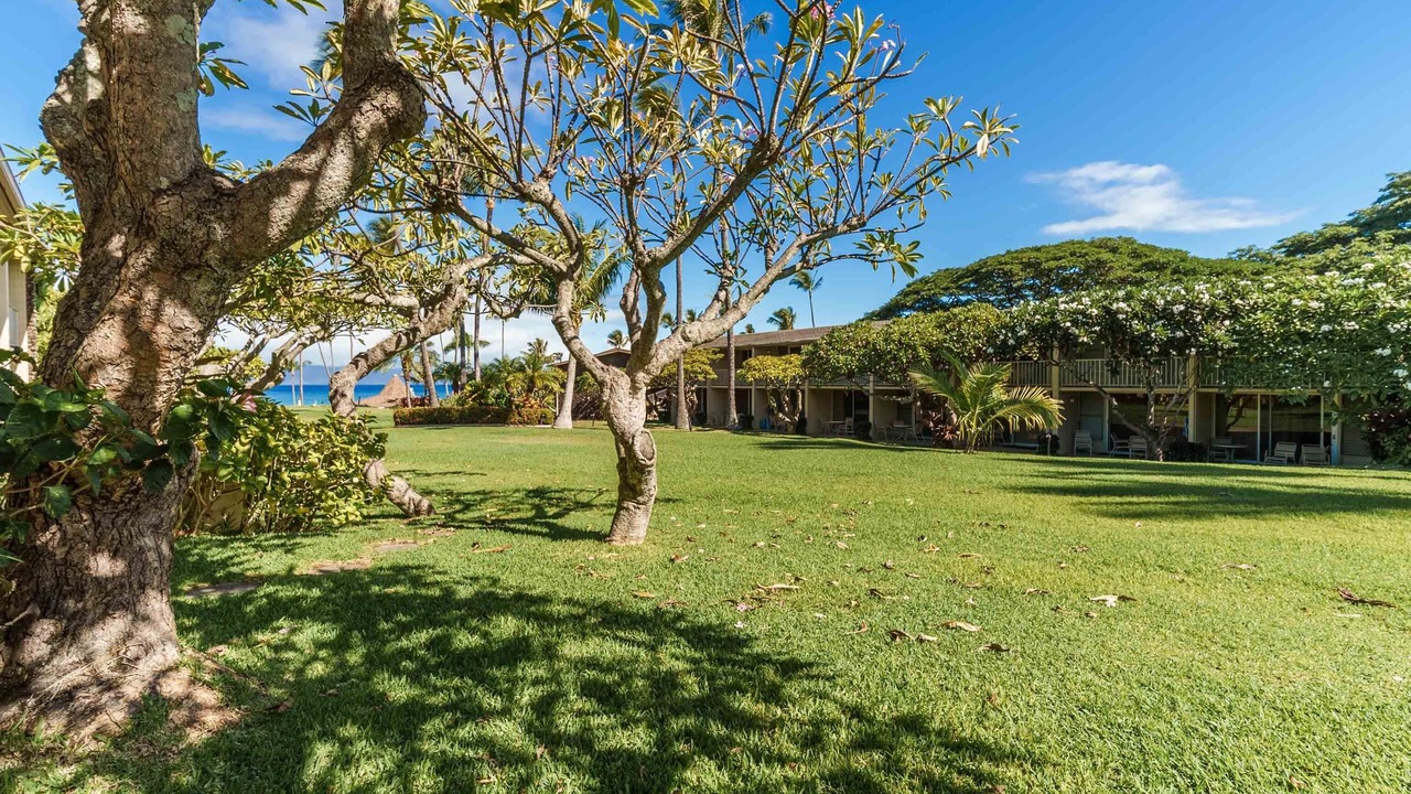 Photo of Outdoor in Napili