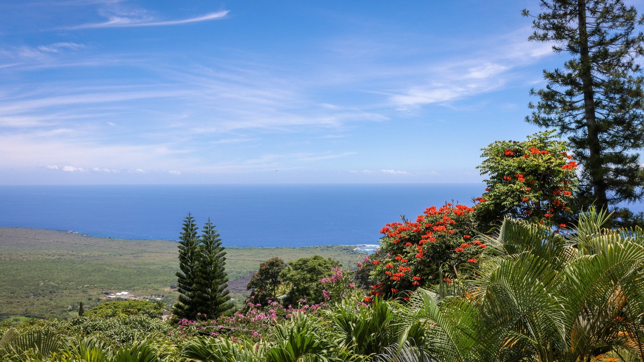 Photo of Others in Honaunau-Napoopoo