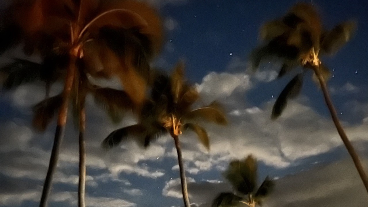 Photo of Others in Kahaluu Bay
